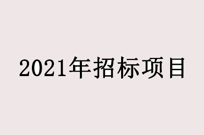 招标项目公示